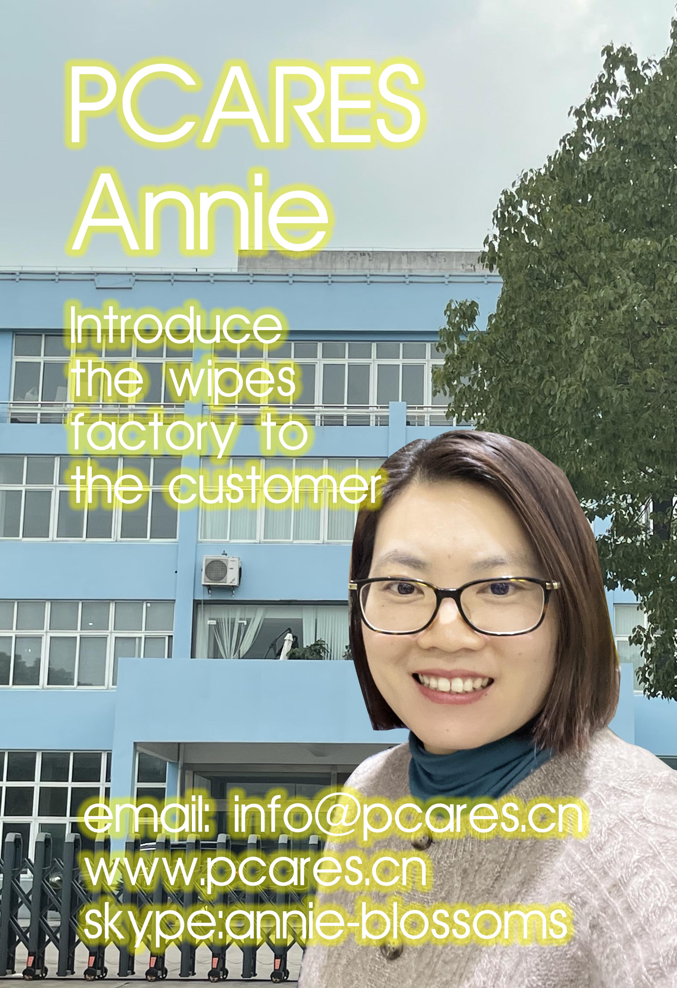 annie had a wonderful day explaining the wipes factory to customers