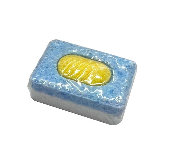  Dishwasher Tablets 